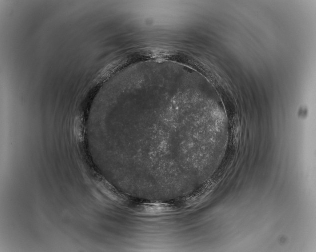 X0000099520316200805291217