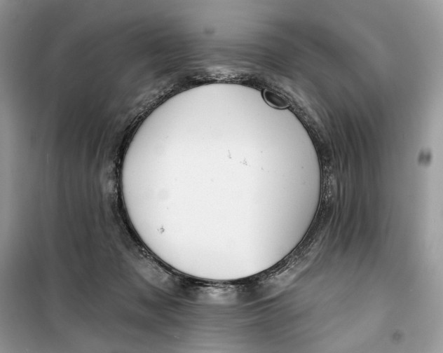 X0000099520317200805291217