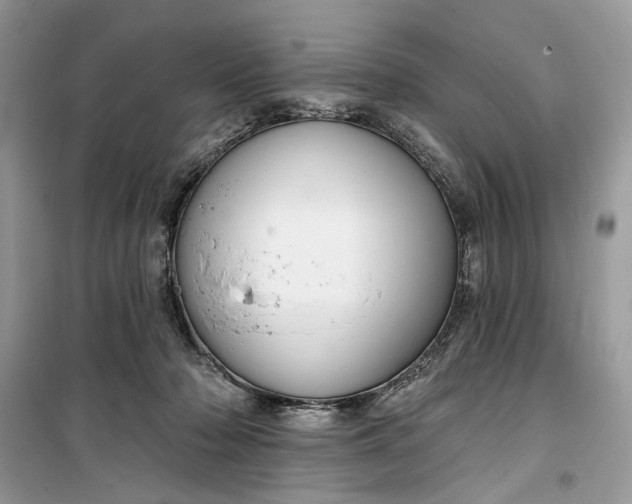 X0000099520318200805291217