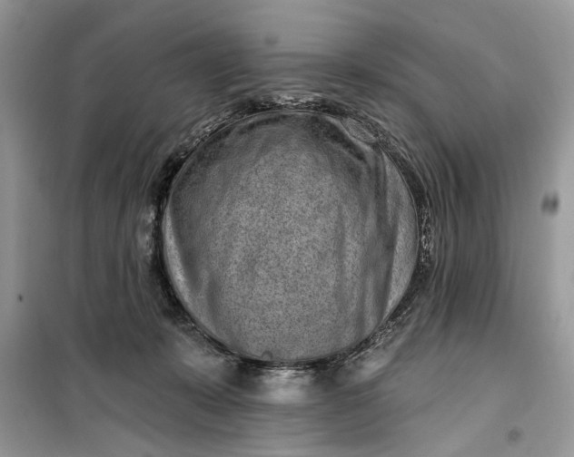 X0000099520319200805291217