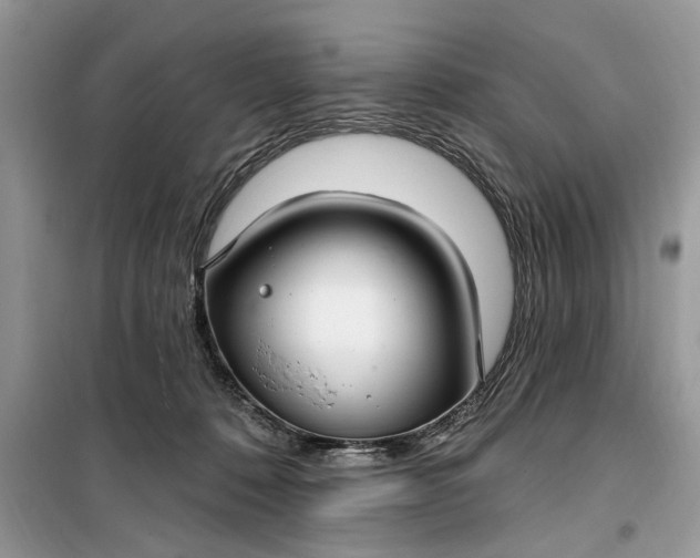 X0000099520320200805291217