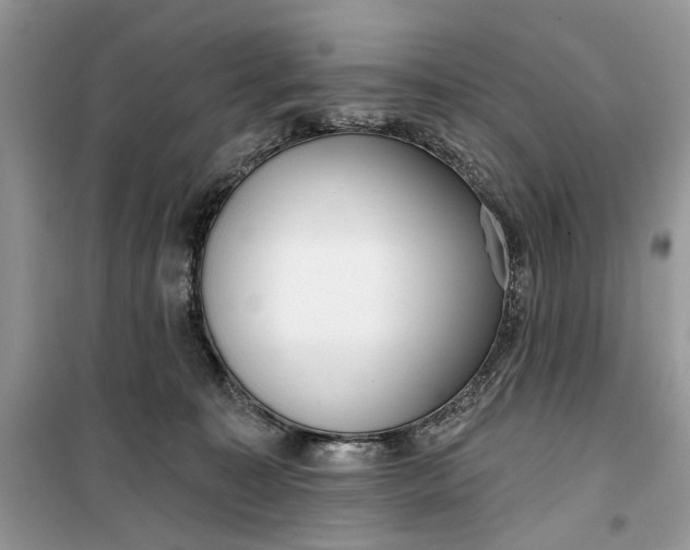 X0000099520323200805291216