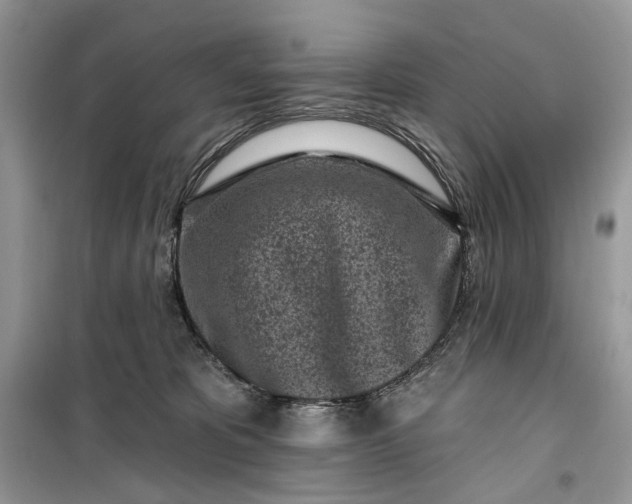 X0000099520325200805291216