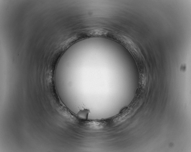 X0000099520326200805291216