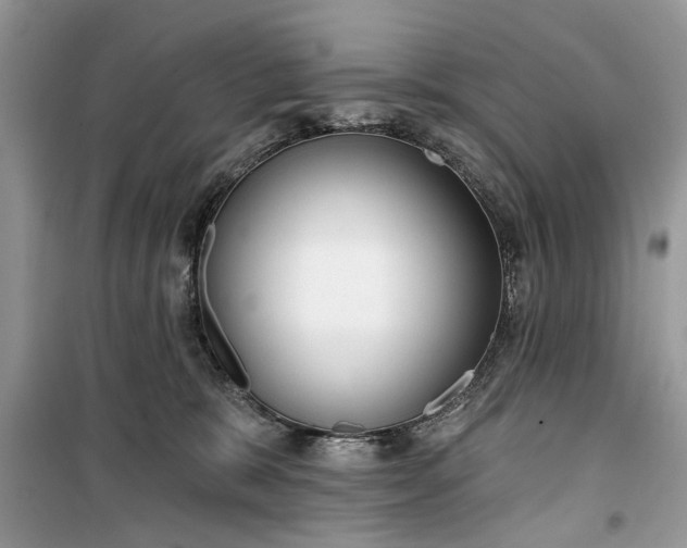 X0000099520327200805291216