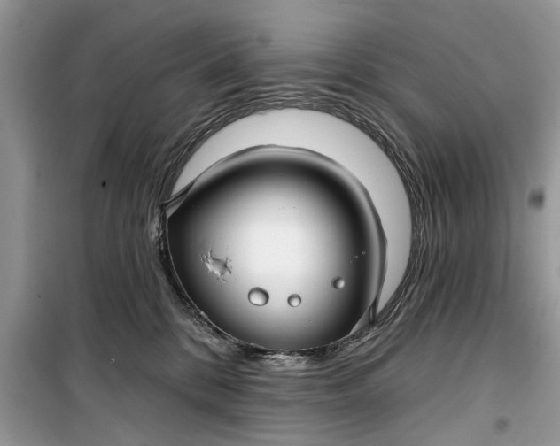 X0000099520328200805291216