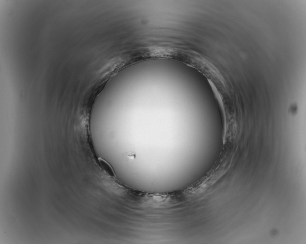 X0000099520329200805291216