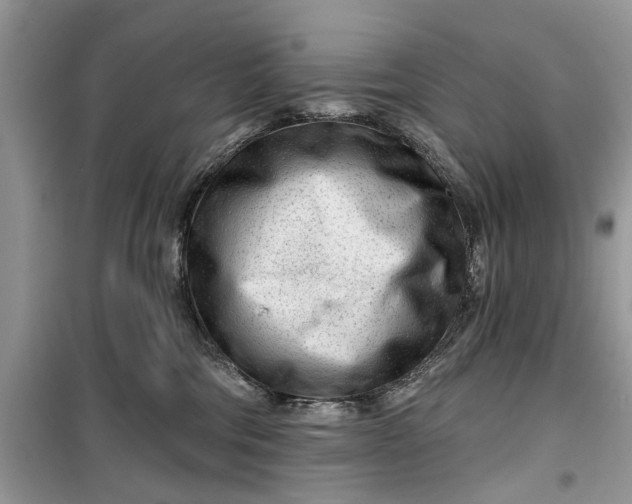 X0000099520330200805291216