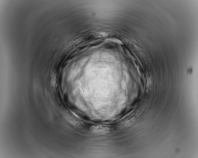 X0000099520331200805291216