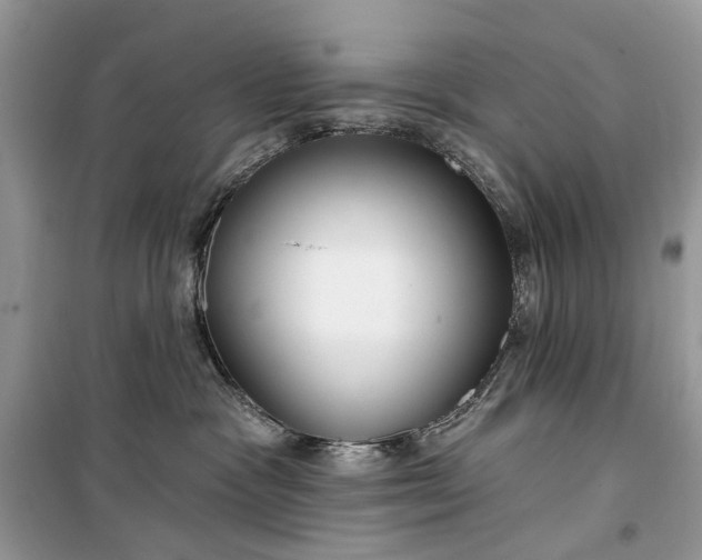 X0000099520333200805291216