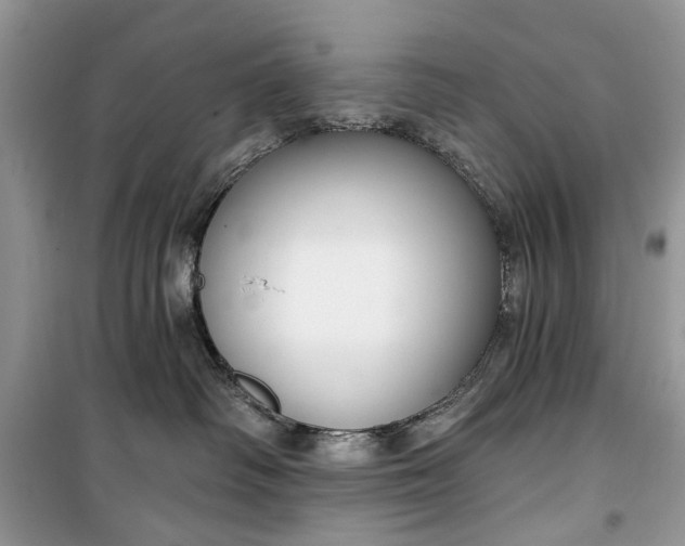 X0000099520334200805291216