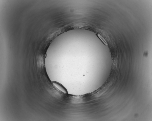 X0000099520335200805291216