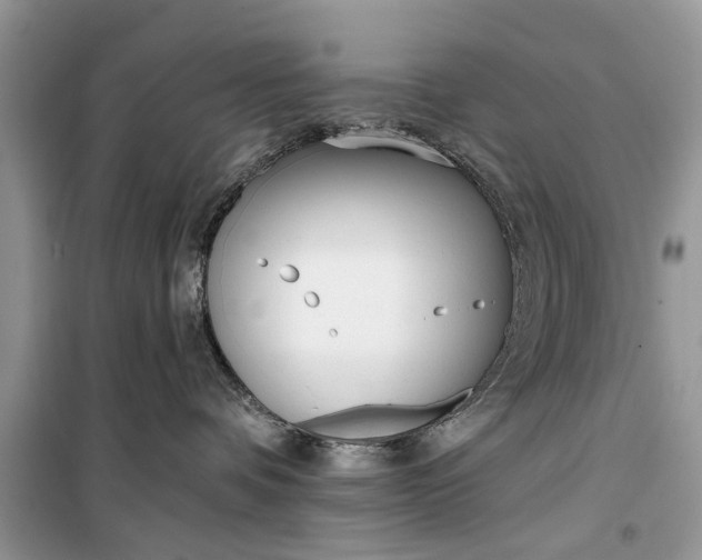 X0000099520336200805291216