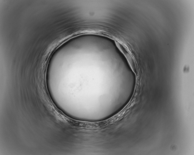 X0000099520337200805291216