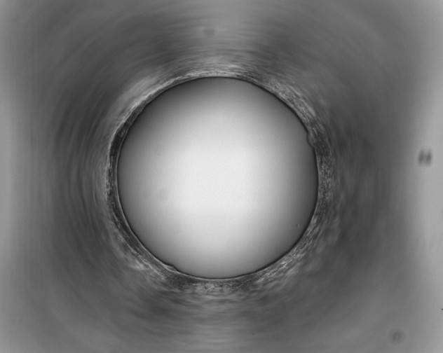 X0000099520338200805291216