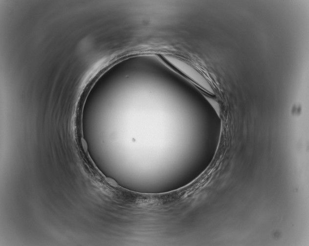 X0000099520340200805291216