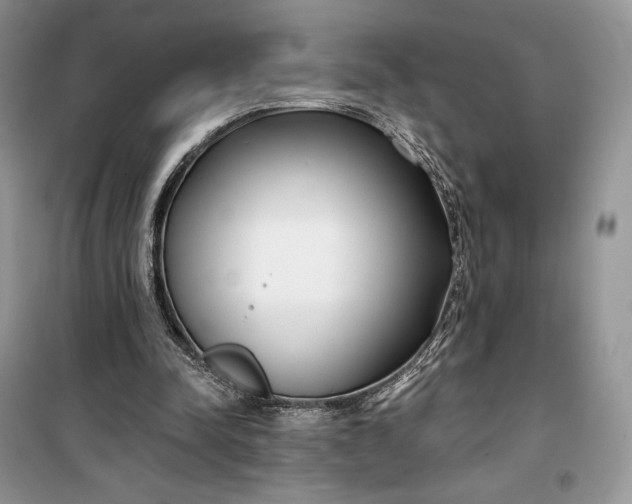 X0000099520342200805291216