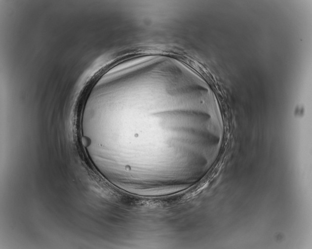 X0000099520343200805291216