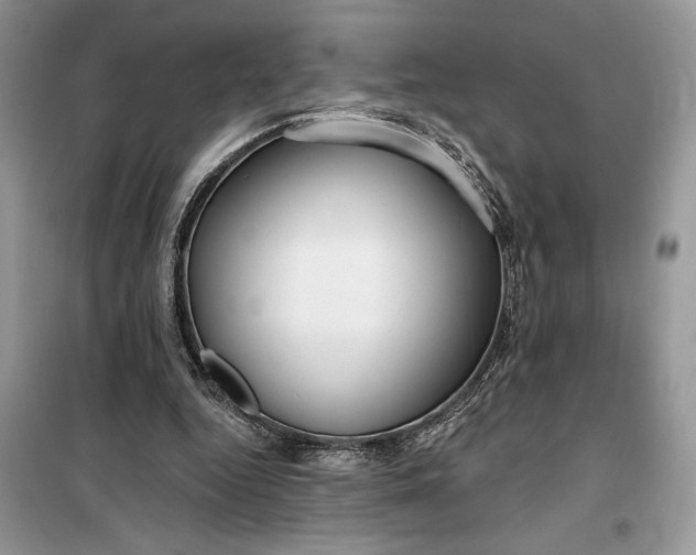 X0000099520344200805291216