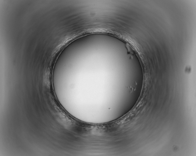 X0000099520345200805291216