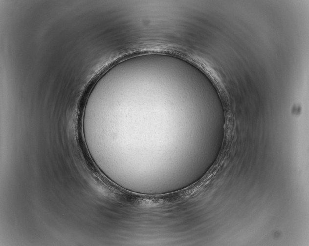 X0000099520346200805291216