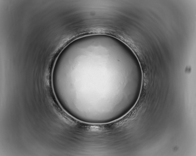 X0000099520347200805291216