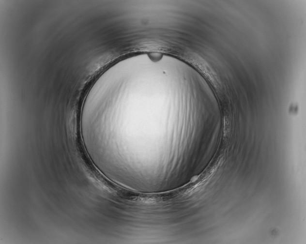 X0000099520349200805291216