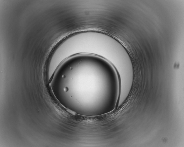 X0000099520350200805291216