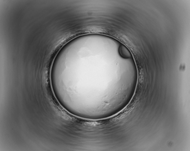 X0000099520351200805291216