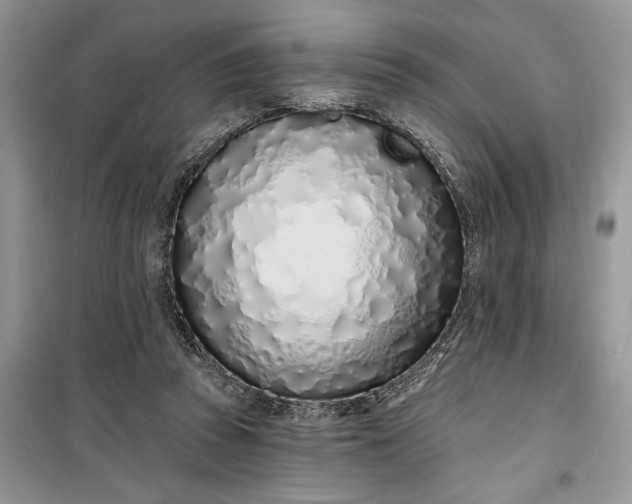 X0000099520353200805291216