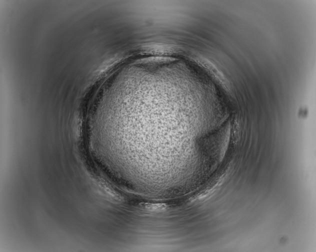 X0000099520355200805291216