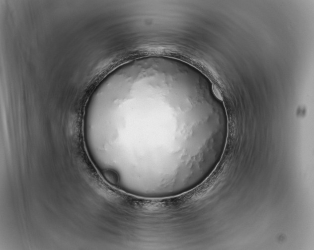 X0000099520357200805291216