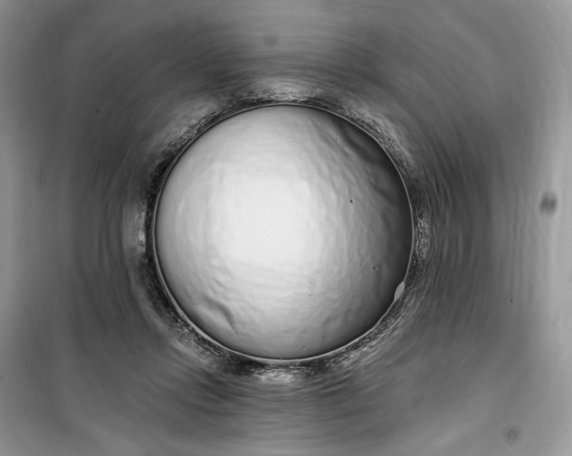 X0000099520358200805291216