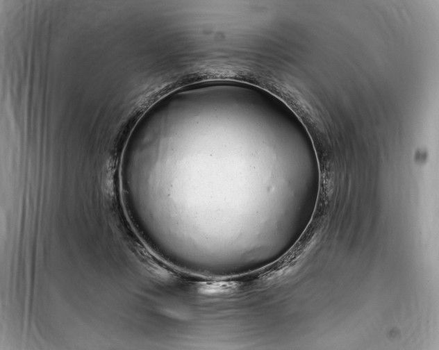 X0000099520359200805291216