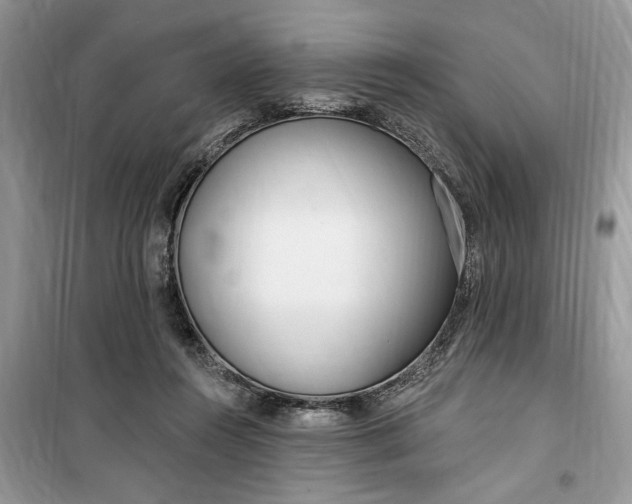 X0000099520360200805291216