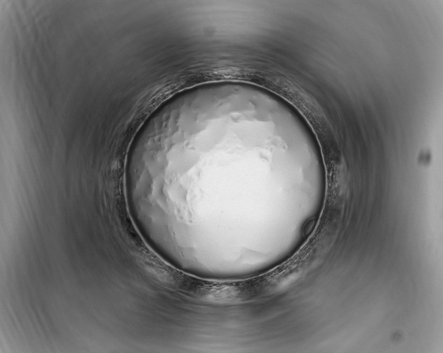 X0000099520361200805291216