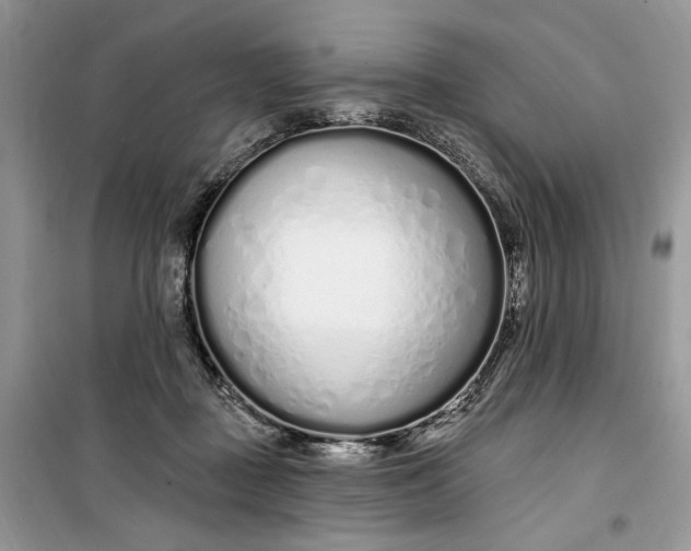 X0000099520363200805291216