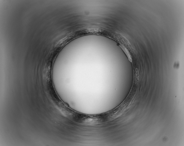 X0000099520364200805291216