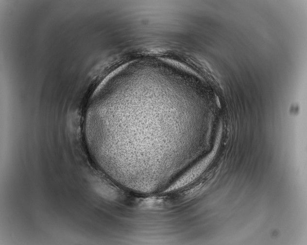 X0000099520366200805291216