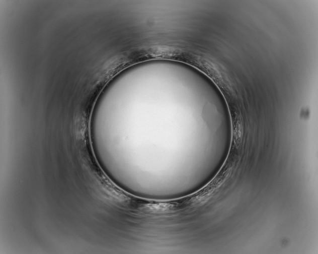 X0000099520367200805291216