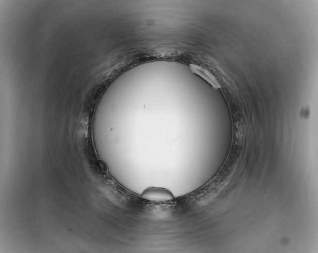 X0000099520368200805291216