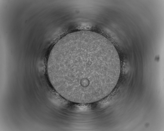 X0000099520370200805291216