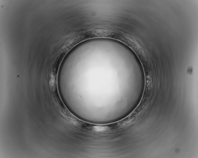 X0000099520371200805291216