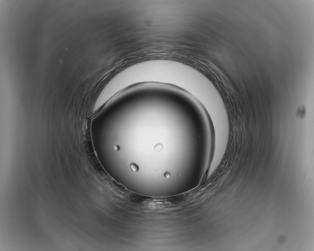 X0000099520372200805291216