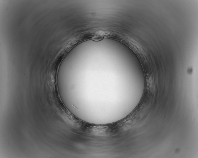 X0000099520373200805291216