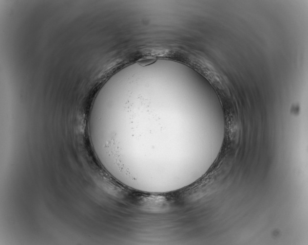 X0000099520374200805291216