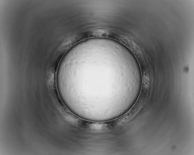 X0000099520375200805291216