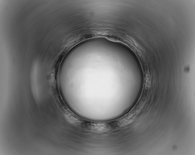 X0000099520377200805291216