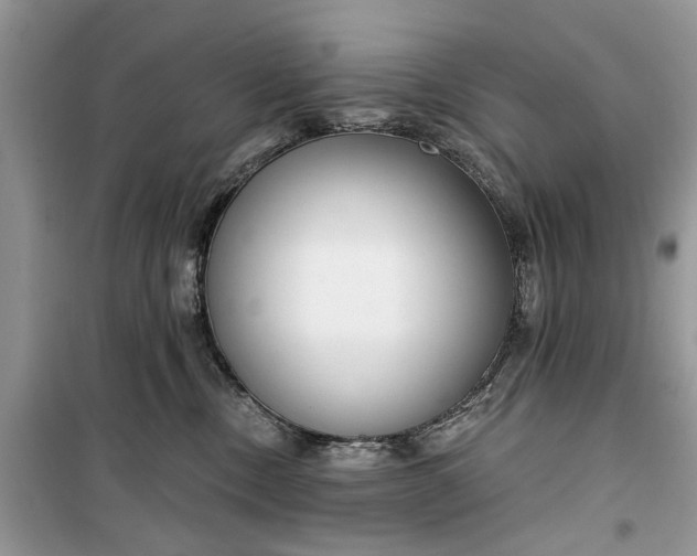 X0000099520378200805291216