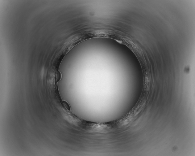 X0000099520379200805291216